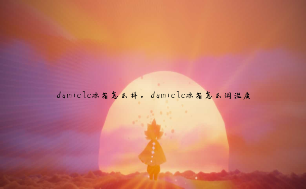 damiele冰箱怎么样，damiele冰箱怎么调温度