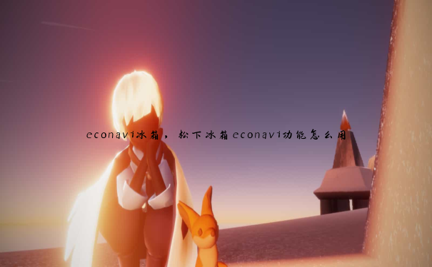 econavi冰箱，松下冰箱econavi功能怎么用